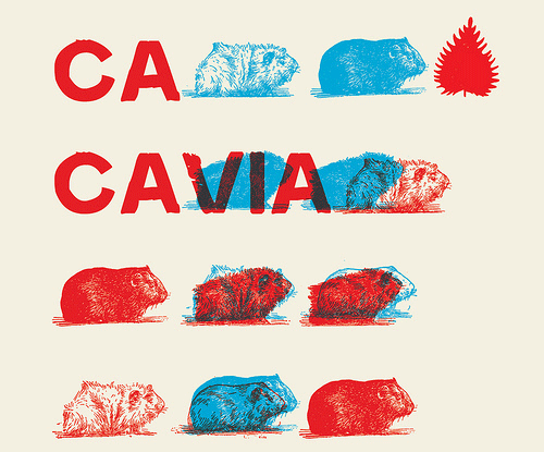 Illustration for Cacavia01 font